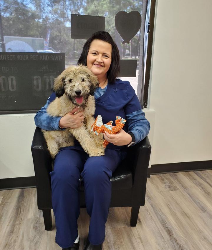 Veterinarians in The Woodlands The Woodlands TX Veterinarians